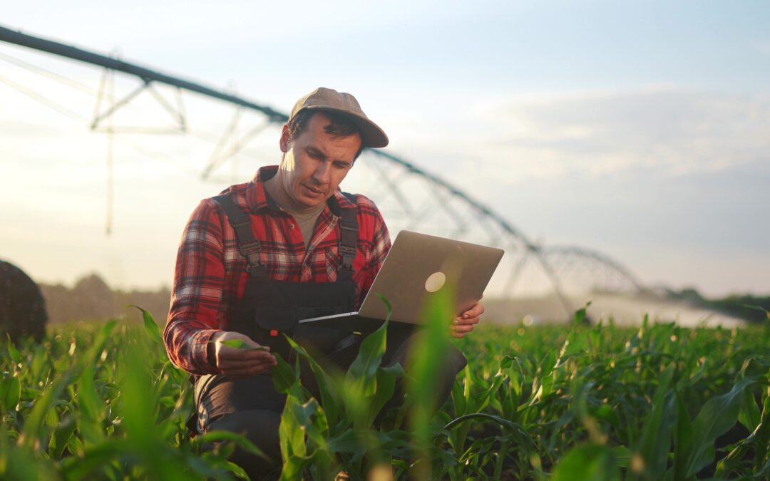 Strengthening cyber defenses: Protecting Canada’s farms in the digital age – MNP